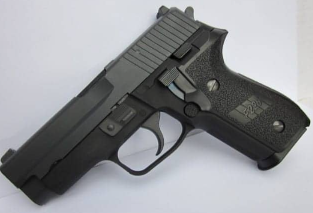 WE F228 GBB Airsoft Pistol