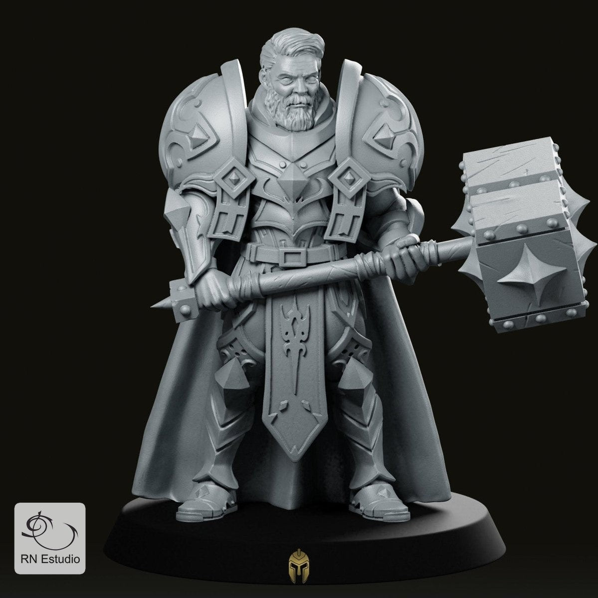Sir Warrick the Paladin Miniature