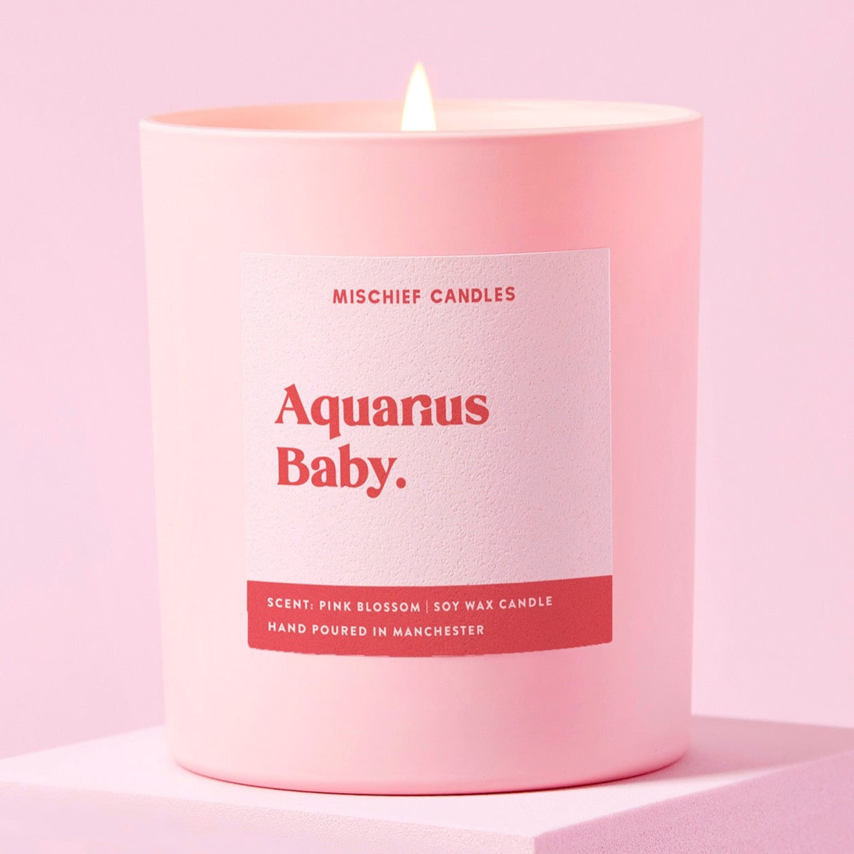 Aquarius Birthday Gift Funny Zodiac Candle Aquarius Baby