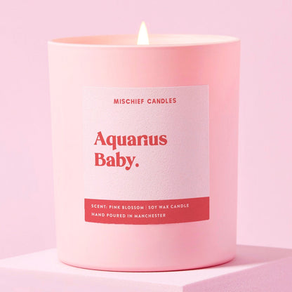 Aquarius Birthday Gift Funny Zodiac Candle Aquarius Baby