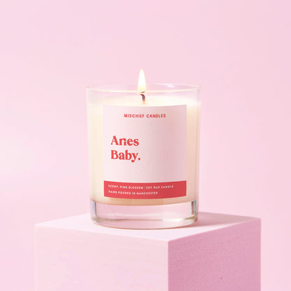 Aries Birthday Gift Funny Zodiac Candle Aries Baby