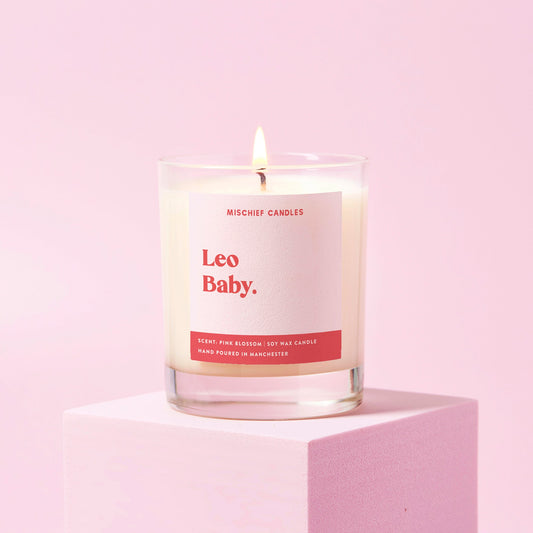 Leo Birthday Gift Funny Zodiac Birthday Candle Leo Baby