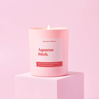 Aquarius Birthday Gift Funny Zodiac Candle Aquarius Bitch