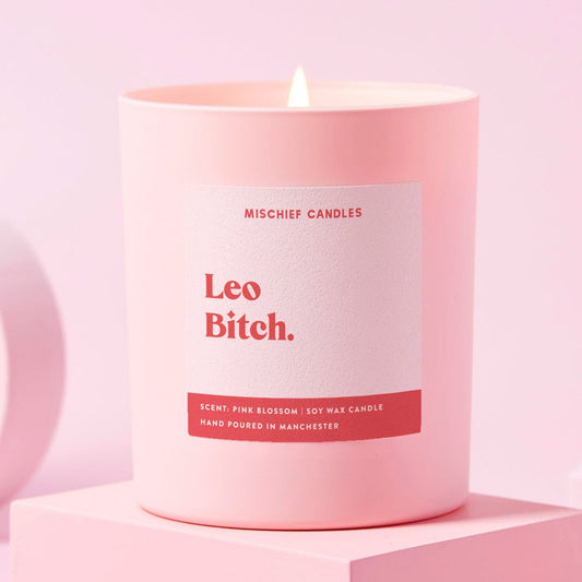 Leo Birthday Gift Funny Zodiac Birthday Candle Leo Bitch