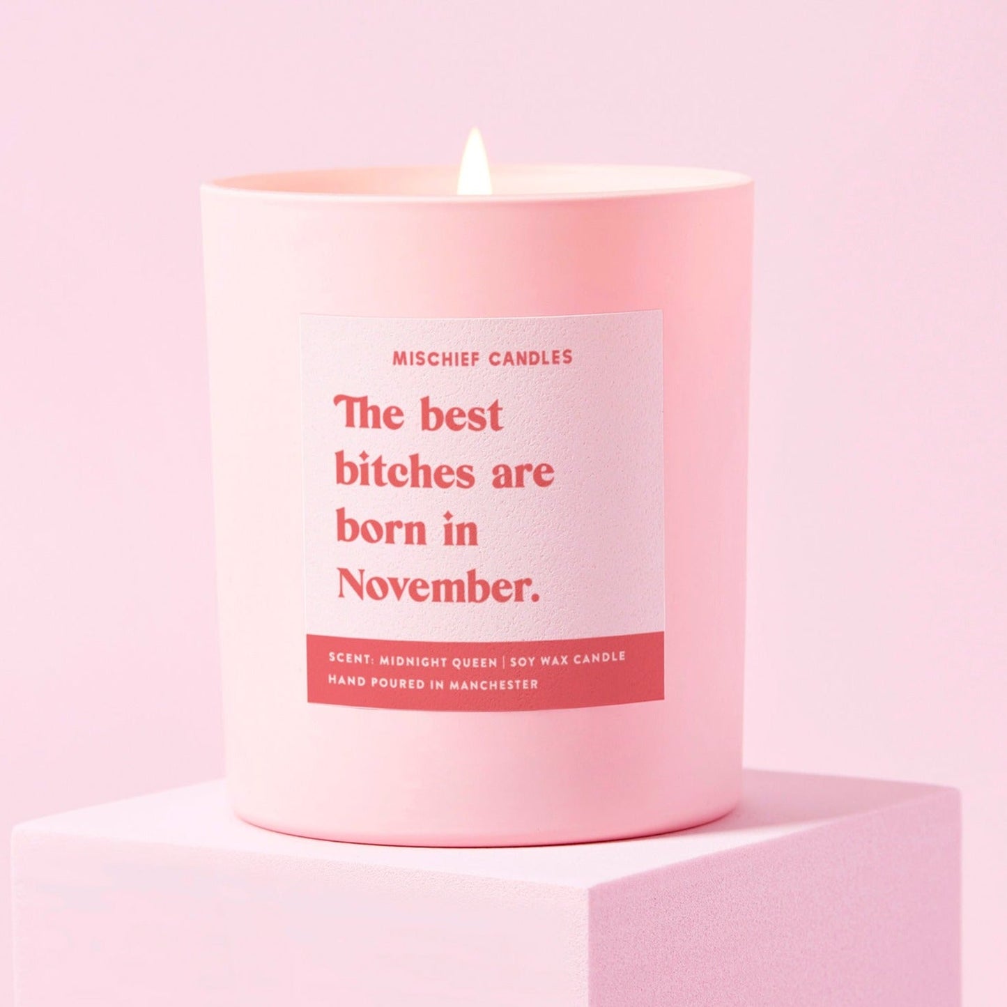 November Birthday Gift Funny Birthday Gift Candle November Birthday Bitch