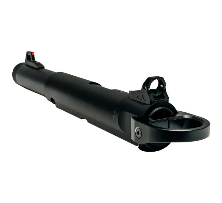 CoverT AAP-01 Ghost Ring Sights