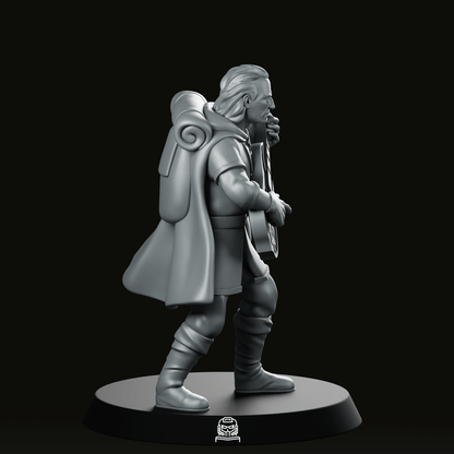 Rennyn Aeralis Bard Miniature