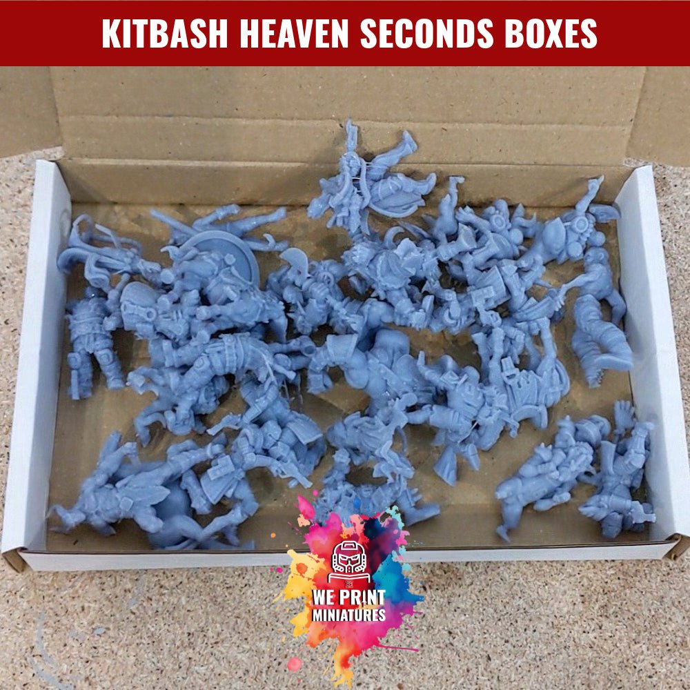 Resin Miniatures Seconds Box - all faulty or incomplete miniatures