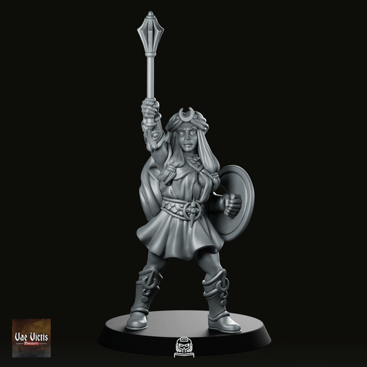 Selune Cleric Paladin Miniature