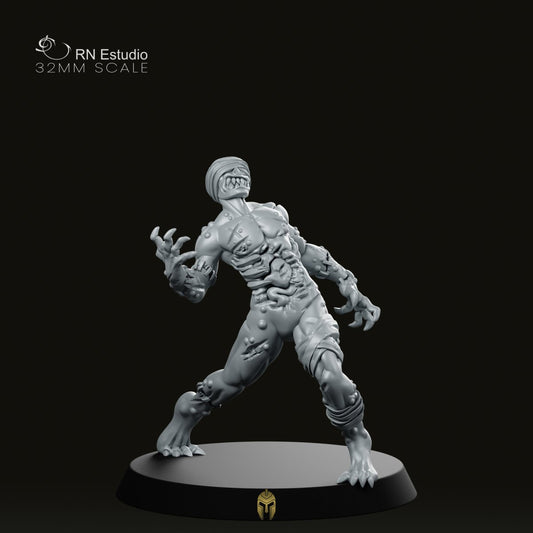 Undead Cursed Zombie C Fantasy Miniatures