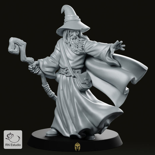 Wizard Amlund Maegon LOTR Miniature