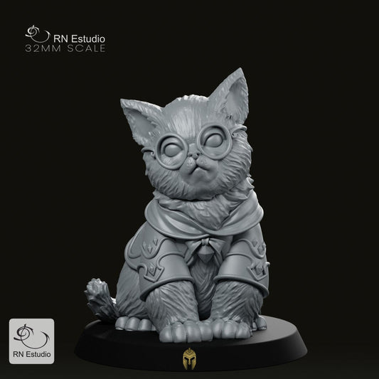 Wizard Gaton Mage Cat Miniature