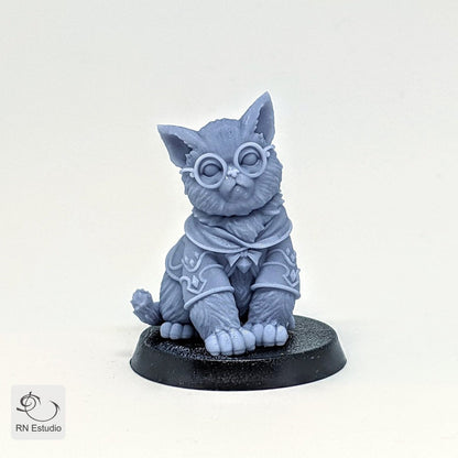Wizard Gaton Mage Cat Miniature